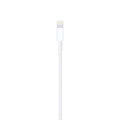 Cabo Lightning (2m) Apple