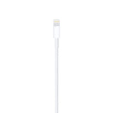 Cabo Lightning (2m) Apple