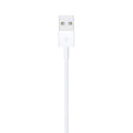 Cabo Lightning (2m) Apple