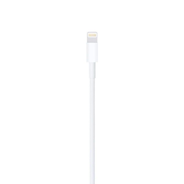 Cabo Lightning (2m) Apple