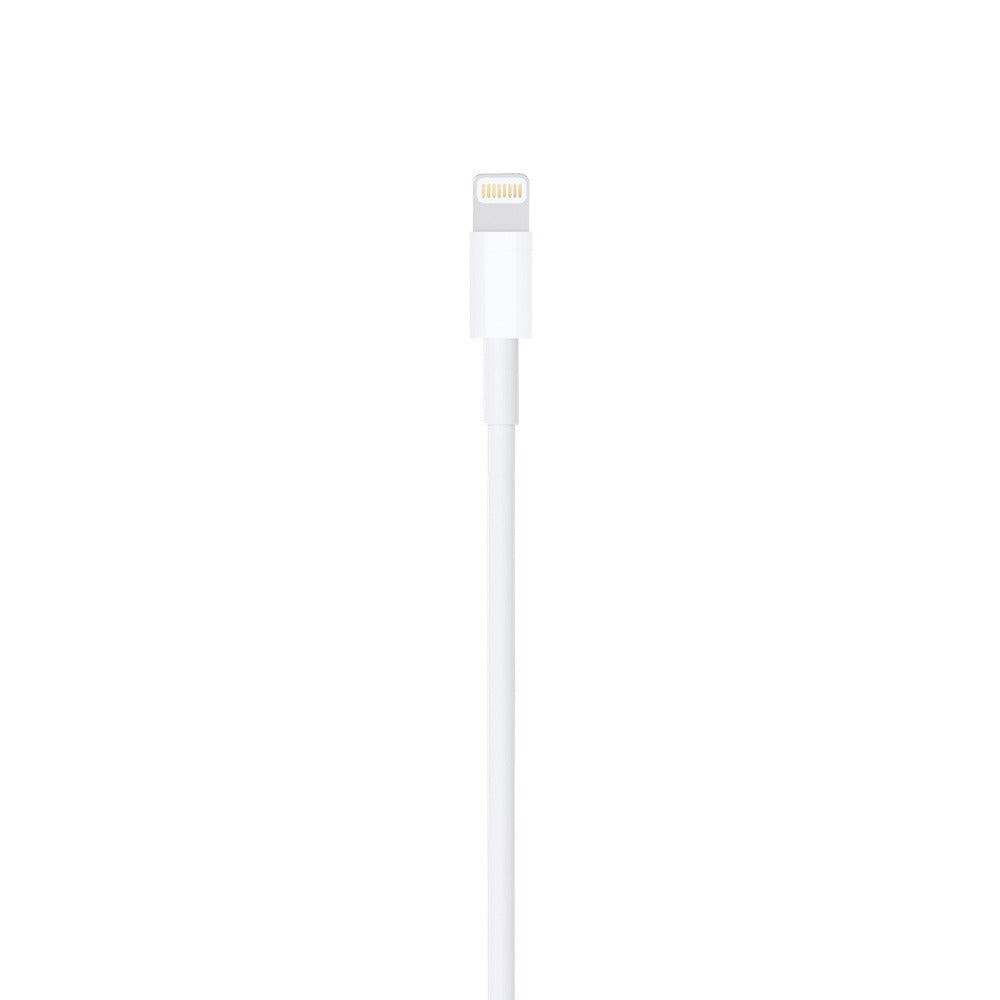 Cabo Lightning (2m) Apple