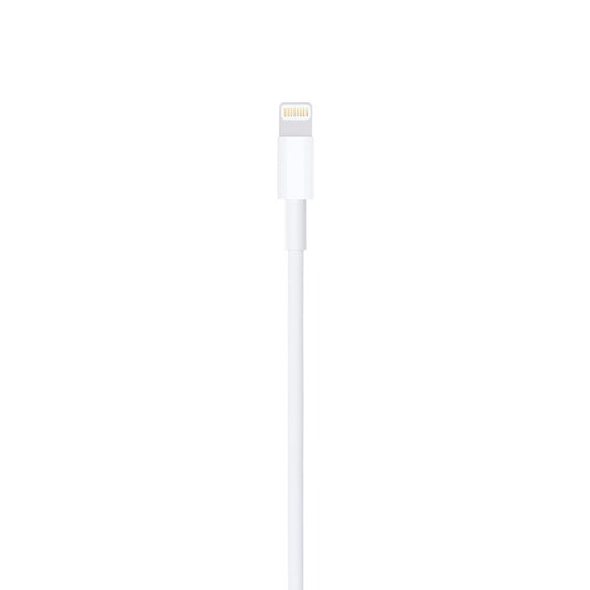 Cabo Lightning (2m) Apple